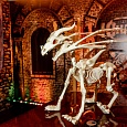 Скелет Динозавра интерактивный